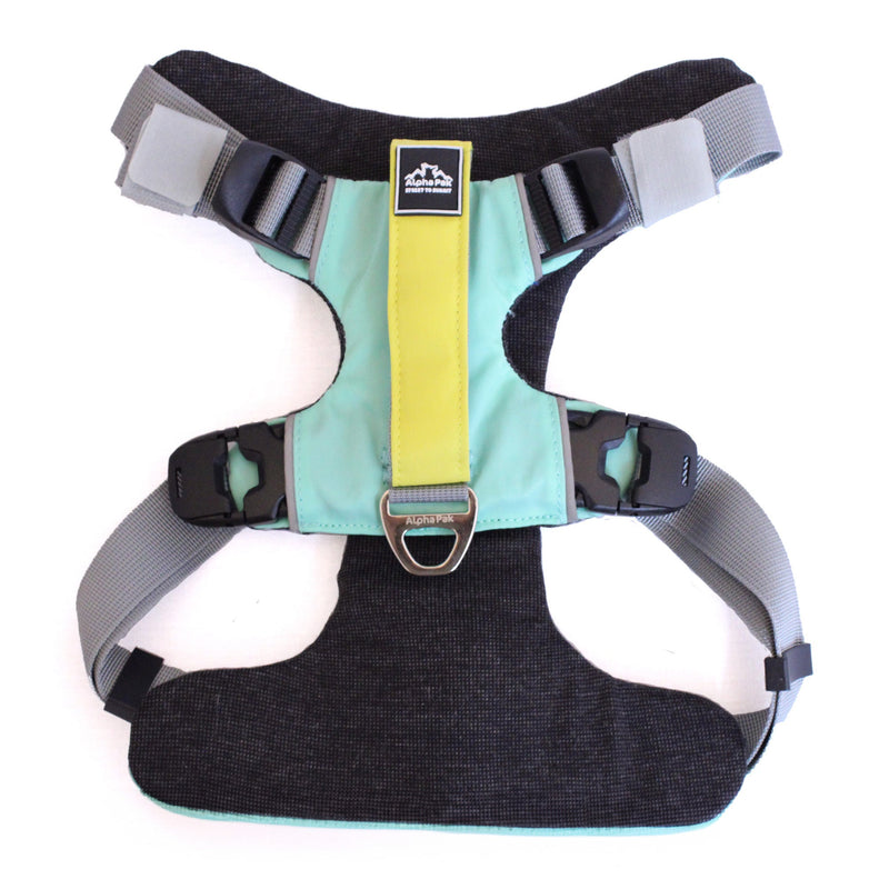 Load image into Gallery viewer, Everyday Adventure Dog Harness
