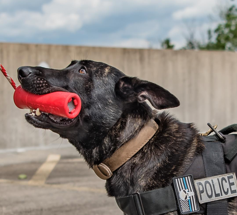 Load image into Gallery viewer, USA-K9 Firecracker Floating Training Dummy | K9 Handler Reward Toy | Red | USA Made
