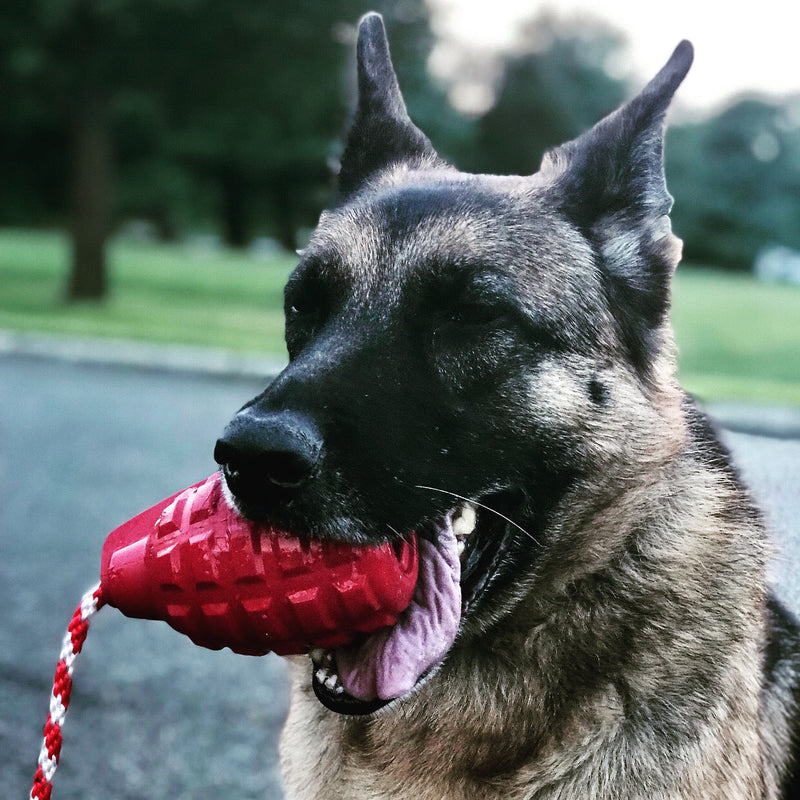 Load image into Gallery viewer, USA-K9 Grenade Shaped Rubber Dog Toy - Chew, Treat Dispenser &amp; Tug Toy | USA - Army Green

