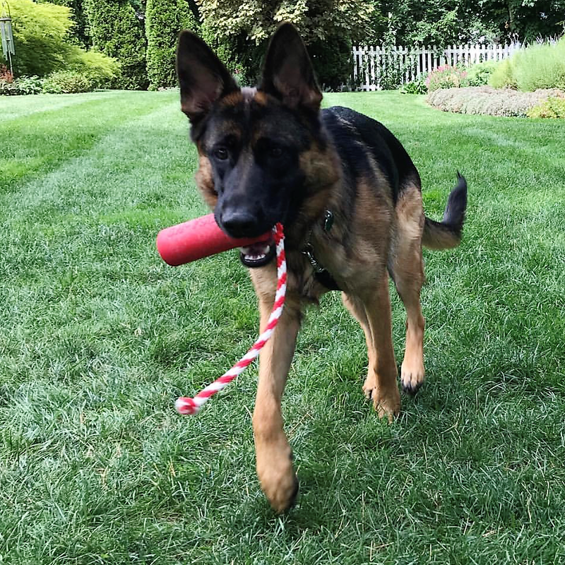 Load image into Gallery viewer, USA-K9 Firecracker Floating Training Dummy | K9 Handler Reward Toy | Red | USA Made
