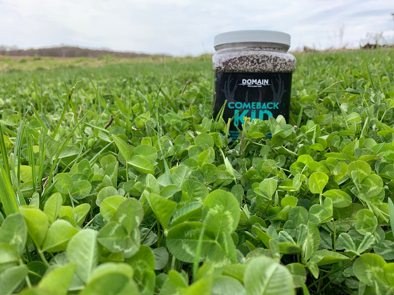 Load image into Gallery viewer, Comeback Kid™ Food Plot Seed
