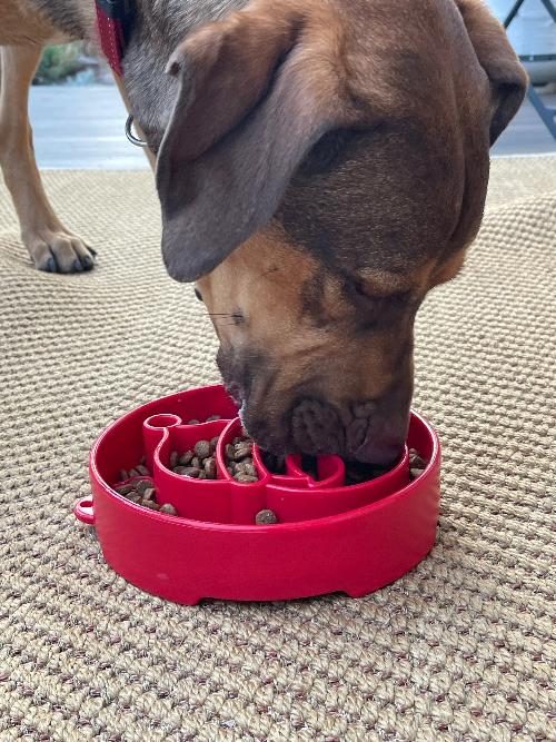 Load image into Gallery viewer, Santa Christmas eBowl Deep Slow Feeder Dog Bowl for Enrichment | USA Made
