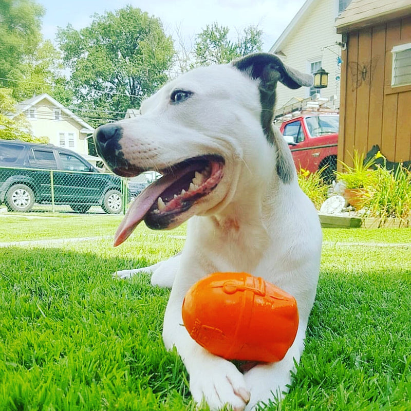 Load image into Gallery viewer, Rocketman Dog Toy - Durable Rubber Chew Toy &amp; Treat Dispenser | USA Made
