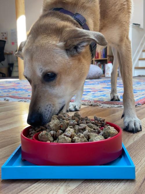 Load image into Gallery viewer, Hold 'em Suction Cup Holder for Dog Bowls &amp; Lick Mats | USA Made
