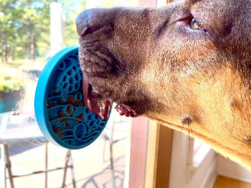 Load image into Gallery viewer, Turtle eMat-Mini Lick Mat with Suction Cups - Small Dogs &amp; Cats | USA
