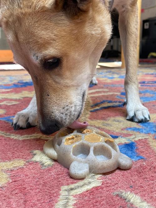 Load image into Gallery viewer, Turtle Nylon Chew Toy - Ultra-Durable Enrichment Toy for Power Chewers USA
