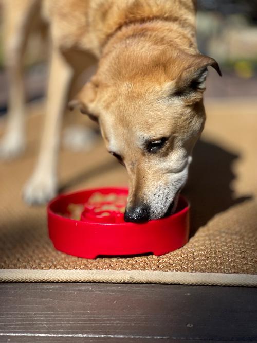 Load image into Gallery viewer, Santa Christmas eBowl Deep Slow Feeder Dog Bowl for Enrichment | USA Made
