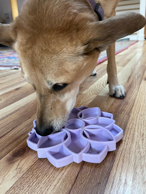 Load image into Gallery viewer, Mandala Softie eTray Shallow Slow Feeder Dog Bowl with Suction Cups |  USA Made
