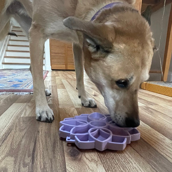 Load image into Gallery viewer, Mandala Softie eTray Shallow Slow Feeder Dog Bowl with Suction Cups |  USA Made
