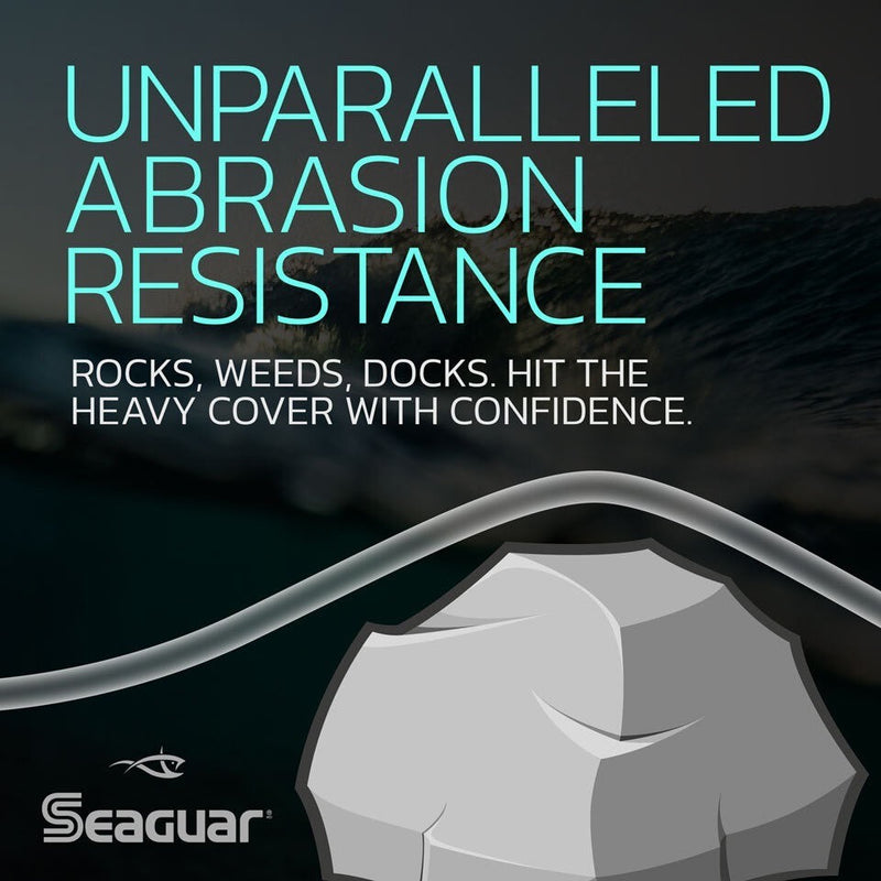 Load image into Gallery viewer, Seaguar Blue Label Fluorocarbon Leader
