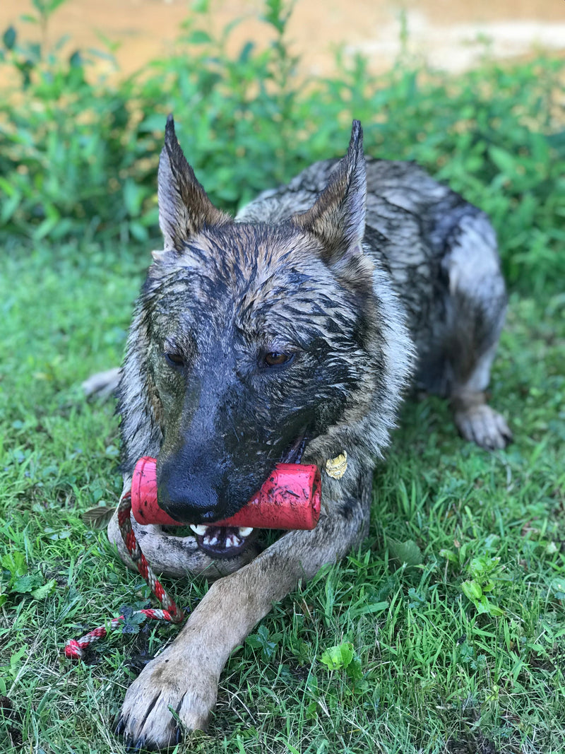 Load image into Gallery viewer, USA-K9 Firecracker Floating Training Dummy | K9 Handler Reward Toy | Red | USA Made
