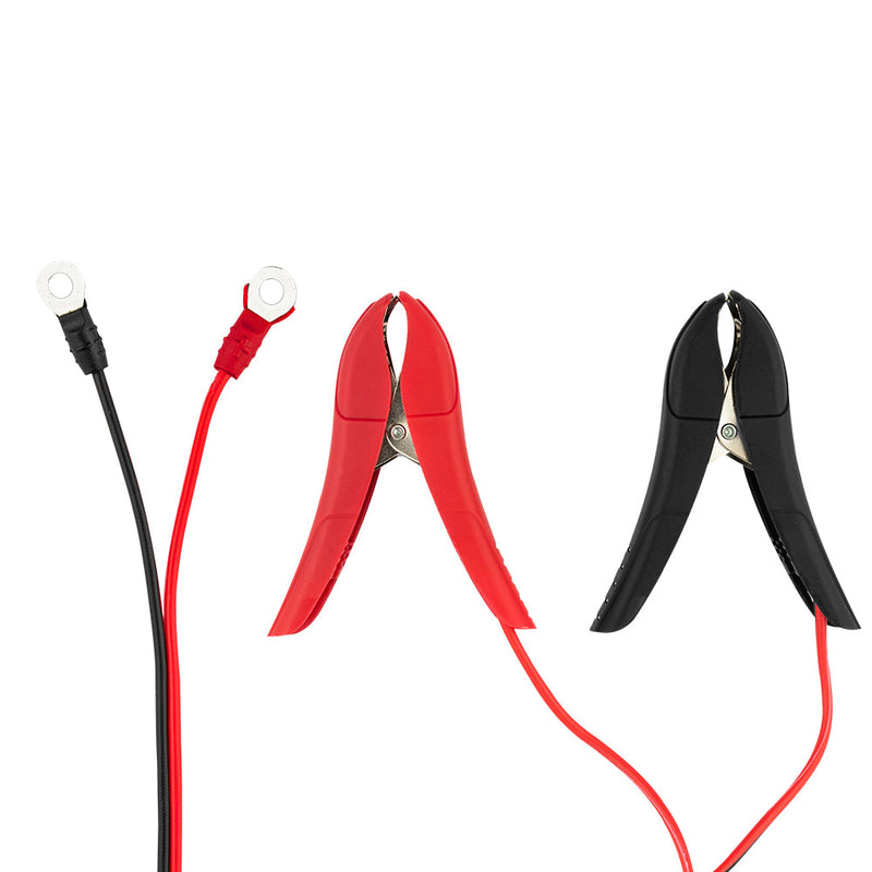 Load image into Gallery viewer, 6 AMP Automatic Smart Lithium and AGM Car Battery Charger &amp; Maintainer
