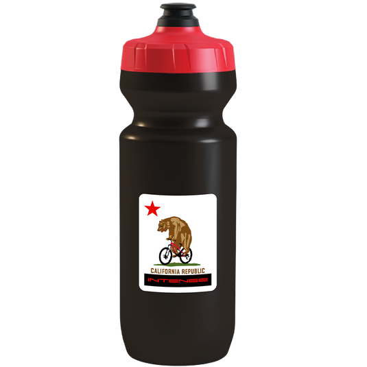 California Bear Water Bottle 22oz