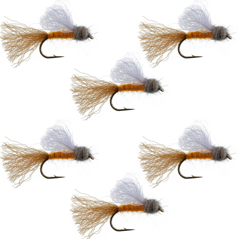Load image into Gallery viewer, Orange Iris October Caddis Emerger Caddis  Trout Dry Fly - 6 Flies Hook Size 8

