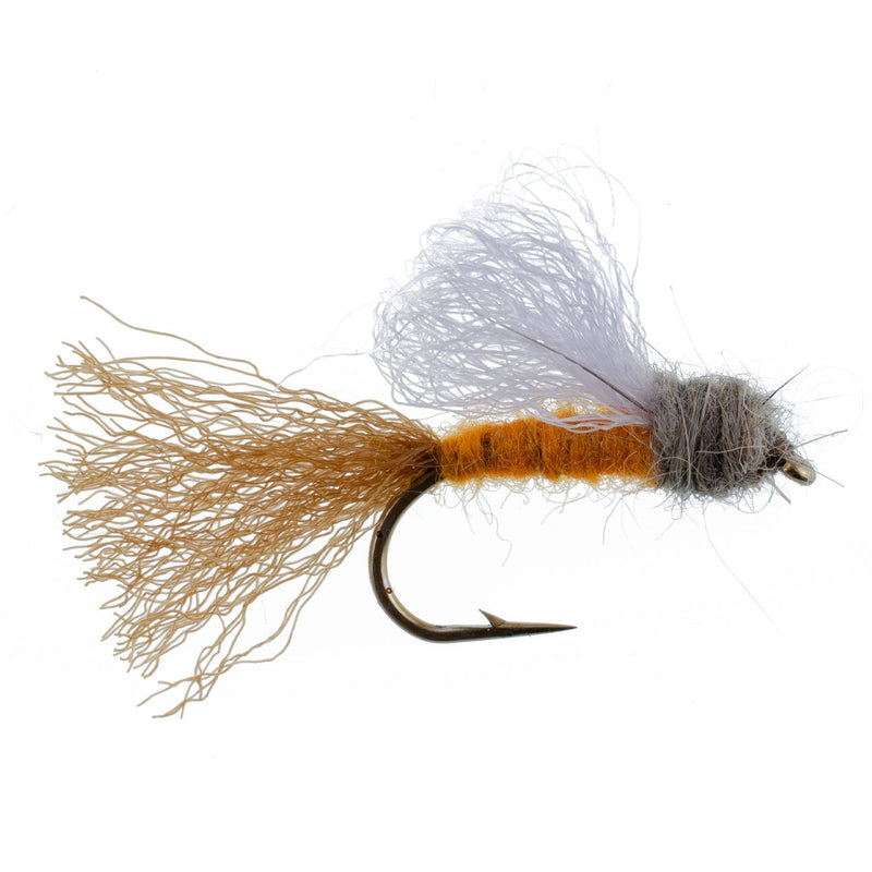 Load image into Gallery viewer, Orange Iris October Caddis Emerger Caddis  Trout Dry Fly - 12 Flies Hook Size 8
