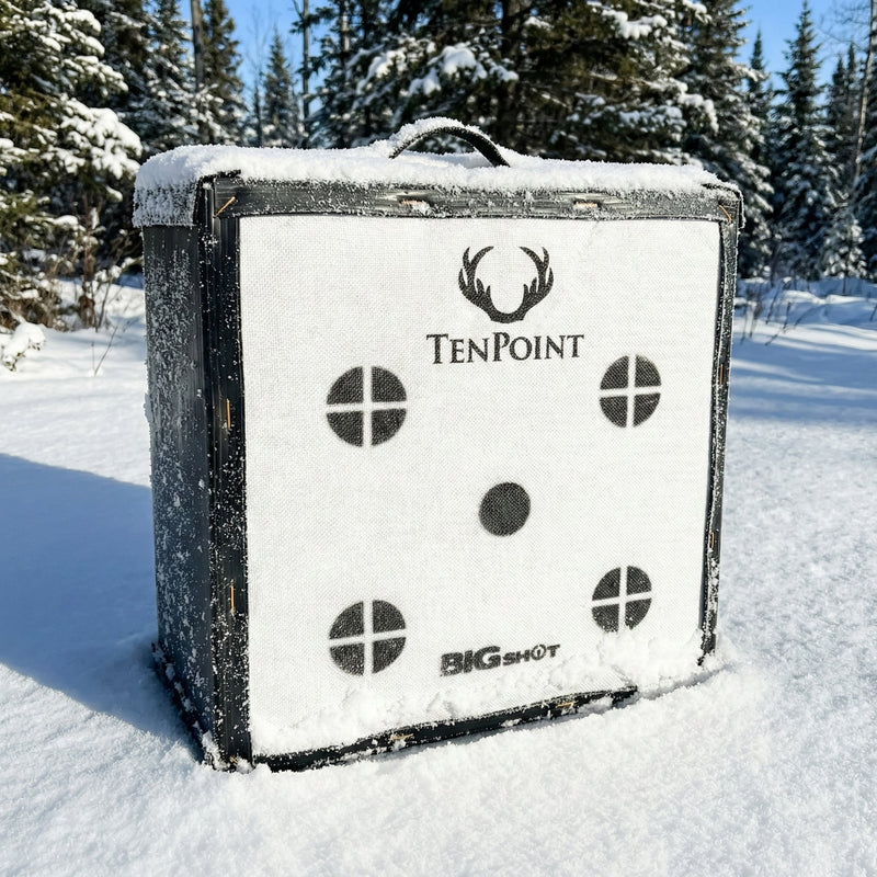 Load image into Gallery viewer, Ironman Kinetic 650 Ten Point Edition Crossbow Target
