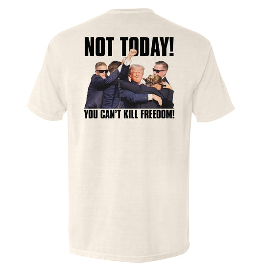 You Can't Kill Freedom