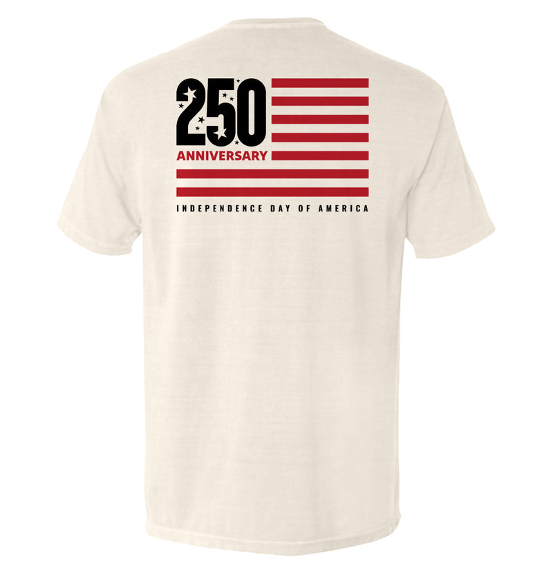 Load image into Gallery viewer, America 250 Years Anniversary Flag
