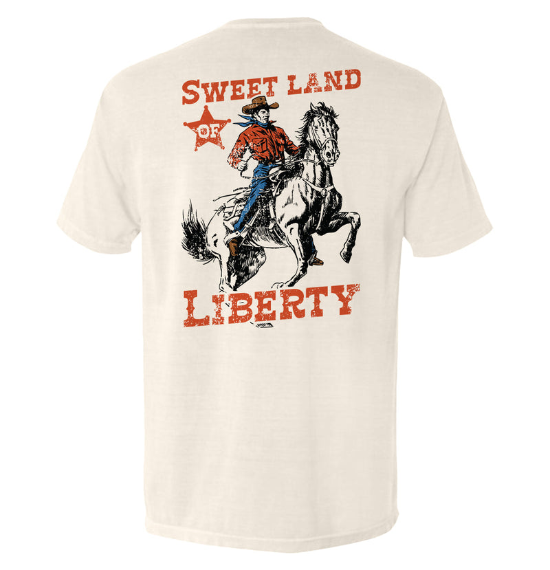 Load image into Gallery viewer, Sweet Land Of Liberty
