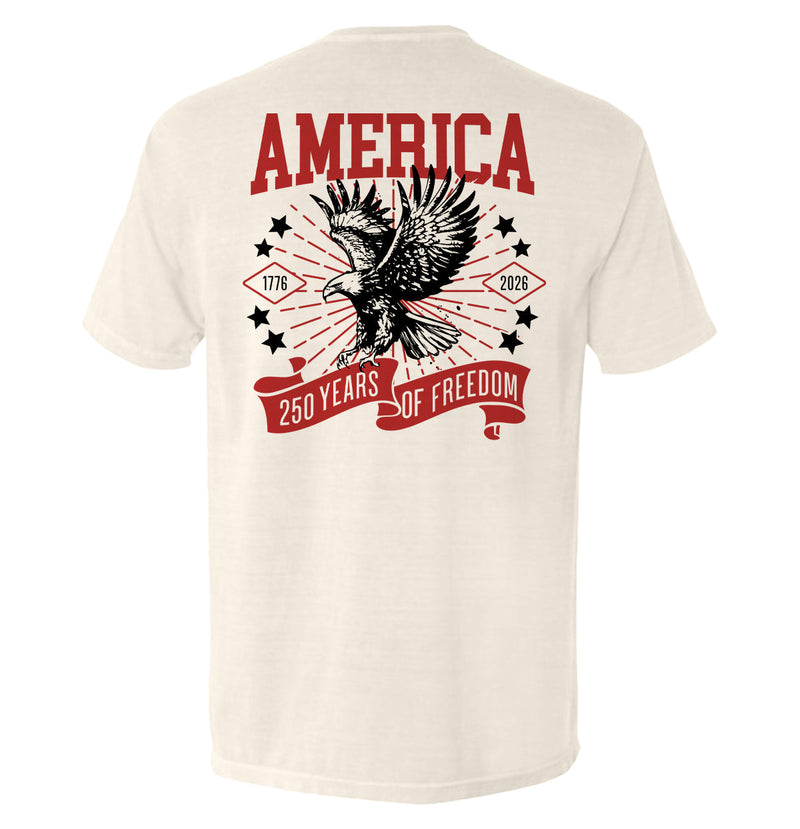 Load image into Gallery viewer, America 250 Years of Freedom
