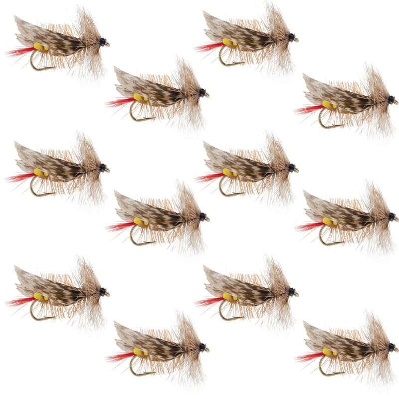 Load image into Gallery viewer, Joe's Hopper Yellow Foam Body Grasshopper Fly - 1 Dozen Flies Hook Size 8

