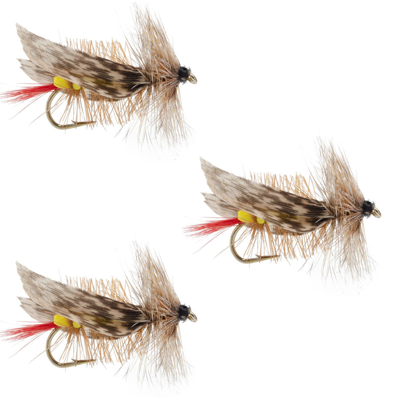 Load image into Gallery viewer, 3 Pack Joe's Hopper Yellow Foam Body Grasshopper Fly Hook Size 8

