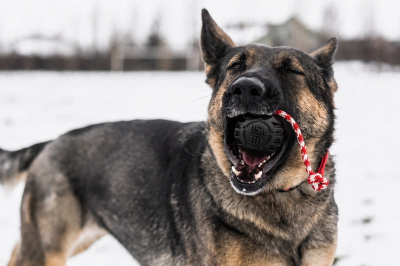 Load image into Gallery viewer, USA-K9 Magnum Stars and Stripes Rubber Dog Toy | K9 Handler Reward Toy | USA Made
