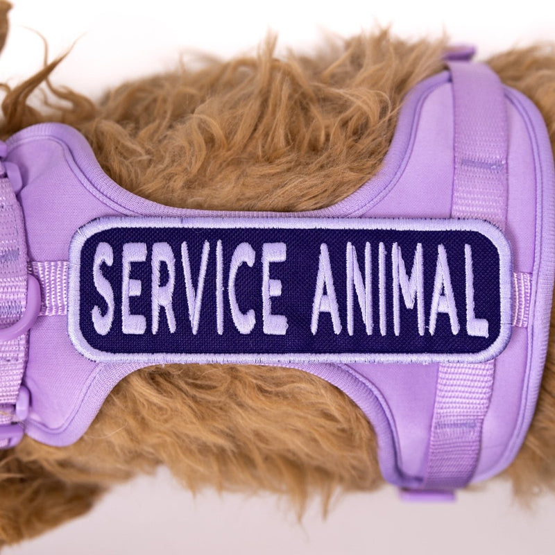 Load image into Gallery viewer, Service Animal 2x6 Patch
