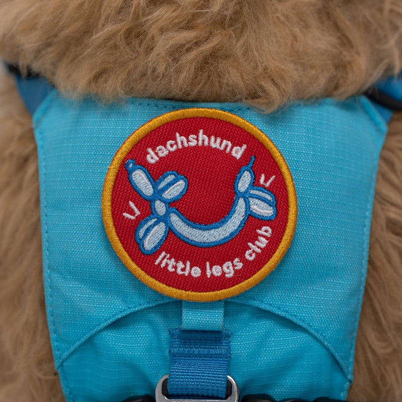 Load image into Gallery viewer, Dachshund Little Legs Club Patch

