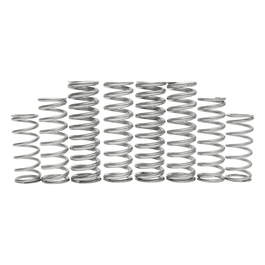 Shock Therapy (DRS) Dual Rate Spring Kit for Kawasaki KRX 1000