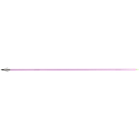 Muzzy Saber Fish Arrow  Carp Point