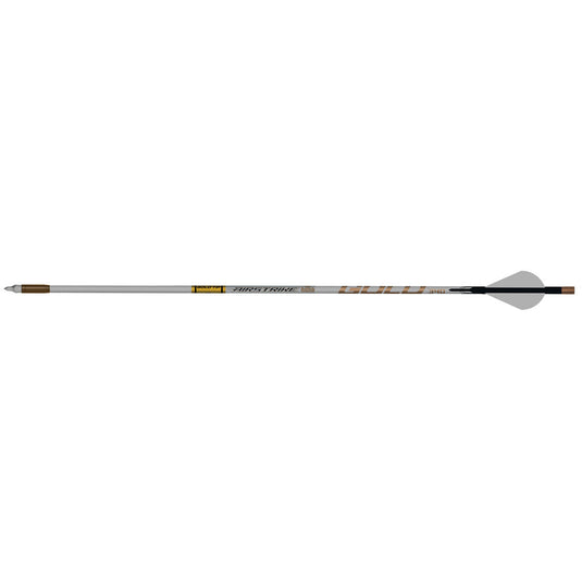Gold Tip Airstrike Arrows 250 Raptor Vanes 6 Pk.