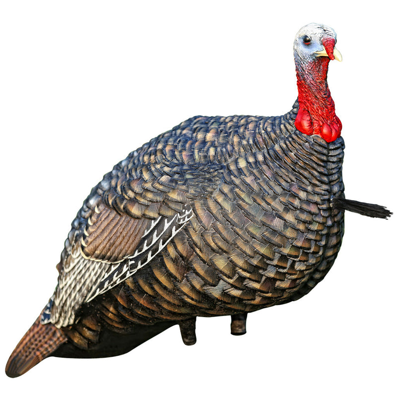 Load image into Gallery viewer, Avian X Quarter Strut Jake Turkey Decoy
