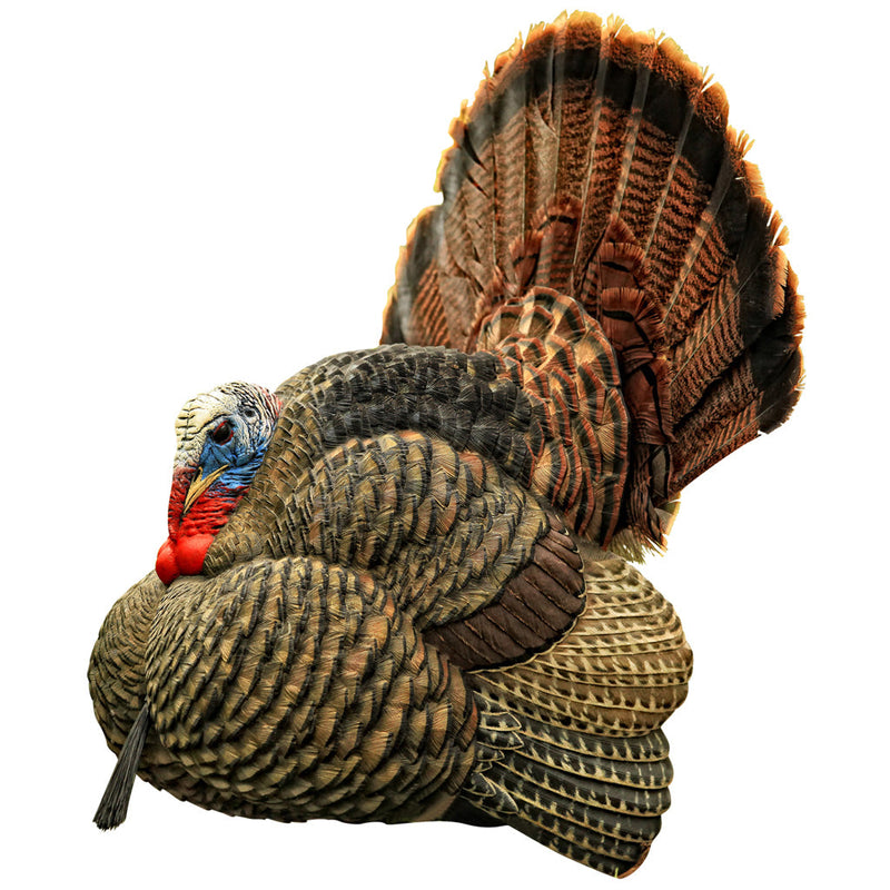 Load image into Gallery viewer, Avian X Strutter Turkey Decoy
