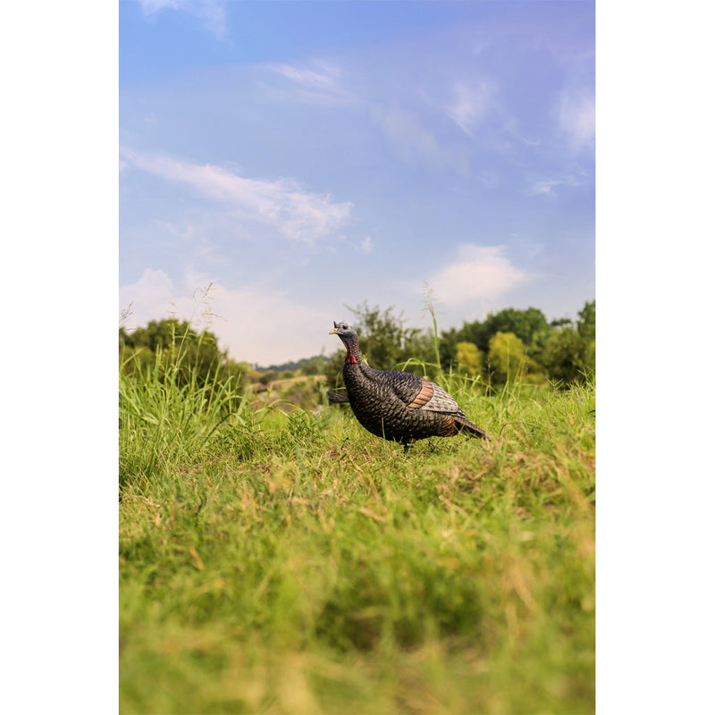 Load image into Gallery viewer, Flextone Thunder Jake Turkey Decoy
