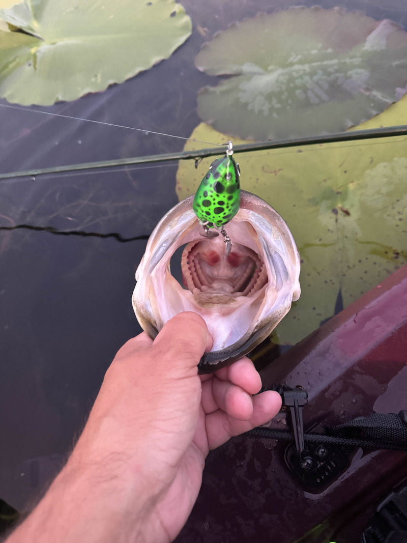 Load image into Gallery viewer, Chop Frog
