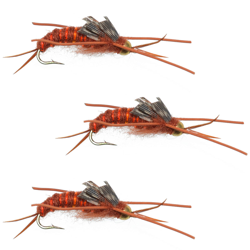 Load image into Gallery viewer, 3 Pack Gold Bead Kaufmann&#39;s Brown Stone Fly with Rubber Legs - Stonefly Wet Fly - Hook Size 12
