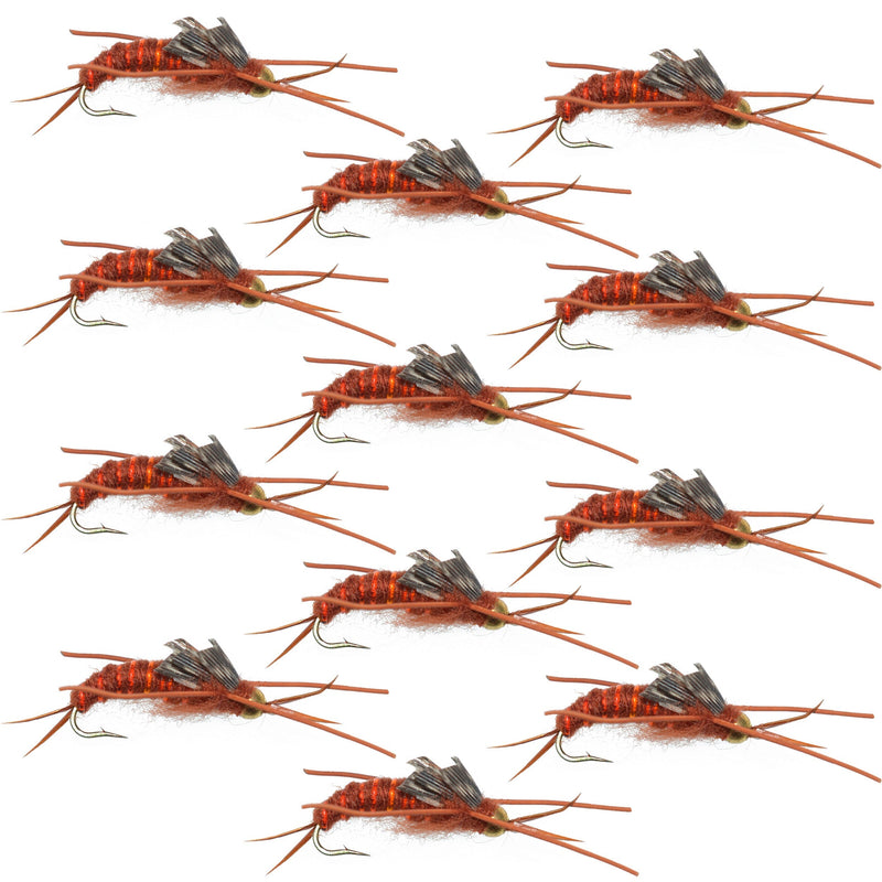 Load image into Gallery viewer, Tungsten Bead Kaufmann's Brown Stone Fly with Rubber Legs - Stonefly Wet Fly - 1 Dozen Flies Hook Size 12
