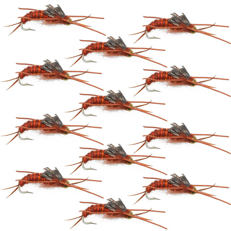 Load image into Gallery viewer, Tungsten Bead Kaufmann's Brown Stone Fly with Rubber Legs - Stonefly Wet Fly - 1 Dozen Flies Hook Size 8
