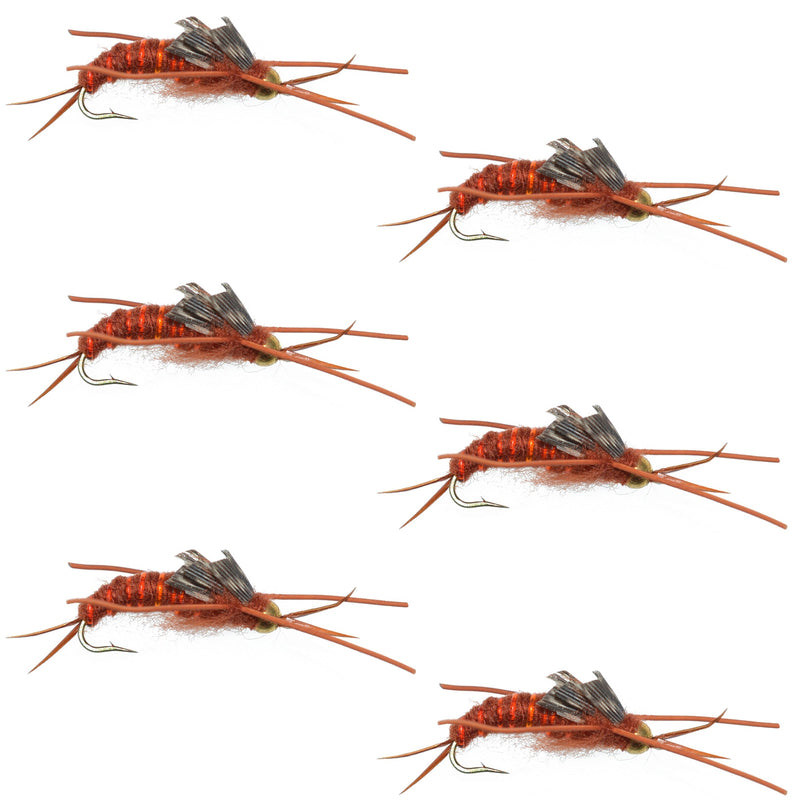 Load image into Gallery viewer, Tungsten Bead Kaufmann's Brown Stone Fly with Rubber Legs - Stonefly Wet Fly - 6 Flies Hook Size 10
