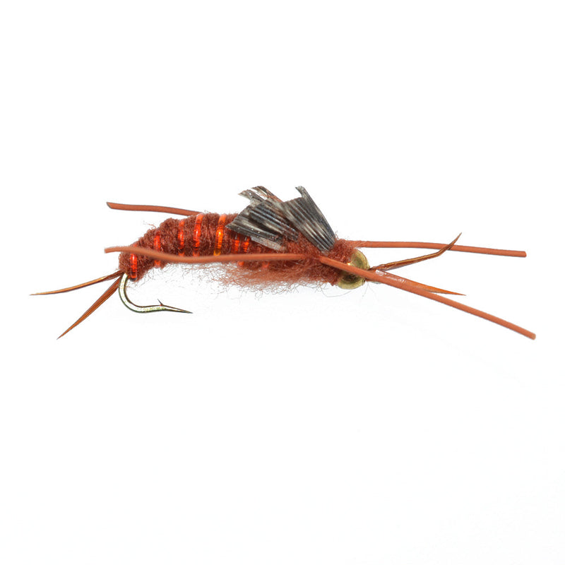 Load image into Gallery viewer, 3 Pack Gold Bead Kaufmann&#39;s Brown Stone Fly with Rubber Legs - Stonefly Wet Fly - Hook Size 12
