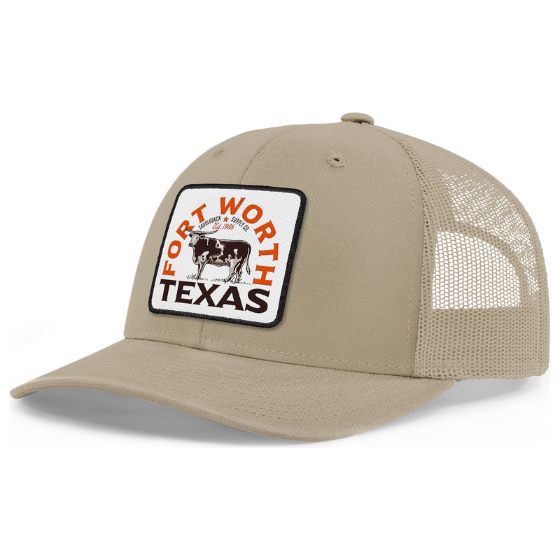Load image into Gallery viewer, Texas Longhorn Patch Snapback
