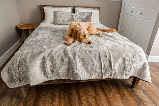 PupProtector™ Summer Short Fur Waterproof Throw Blanket - Grey