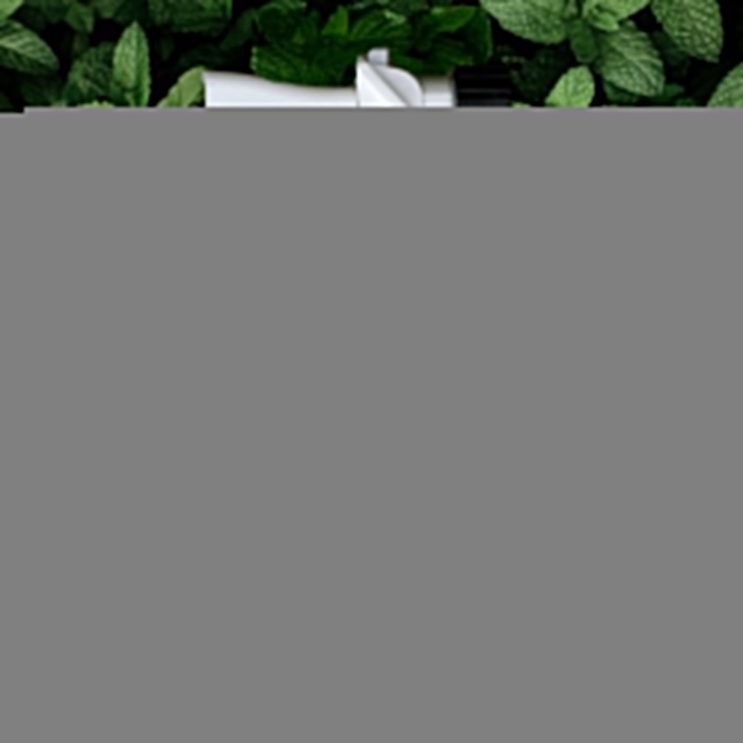 Ready-to-Use Flea & Tick Spray for Yard + Garden with Natural Essential Oils
