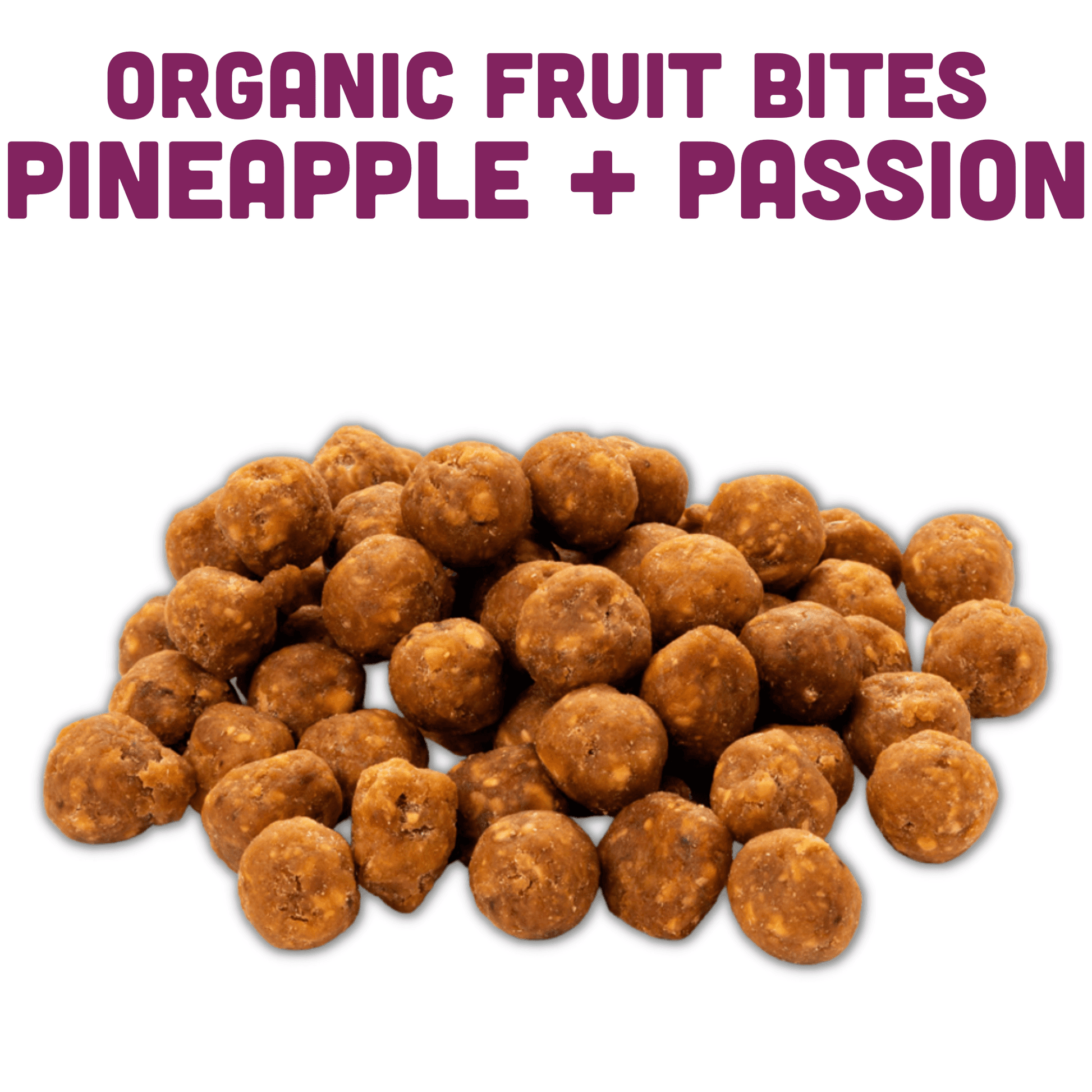 Fruit Bite Best Sellers Bundle - 24 bags - Skoutley Outdoors LLC
