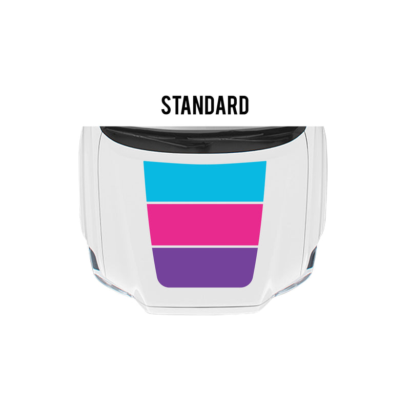 Load image into Gallery viewer, 2016-2023 Tacoma Checkered Stripe Kit
