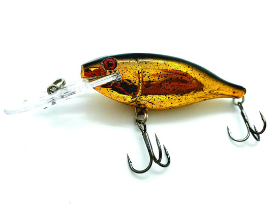 Rattlin' LIL-Super Cisco