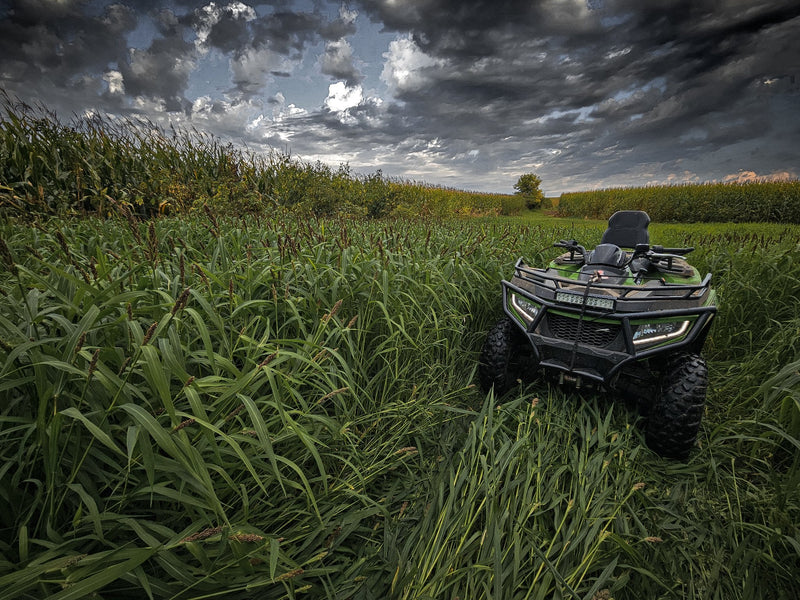 Load image into Gallery viewer, Landing Strip™ Food Plot Seed
