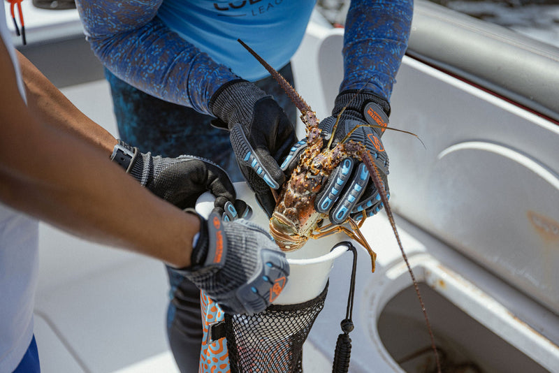 Load image into Gallery viewer, Lobster Hotel Catch Bag
