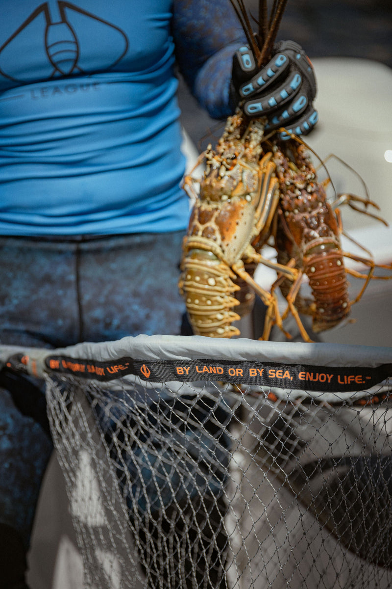 Load image into Gallery viewer, Lobster Net Kit
